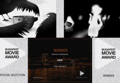 Brak – Nagroda Best Director Animation